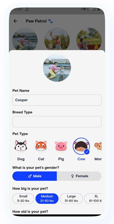 PetHomes - On-Demand Pet Services App - Pet Service providers - Pet Care Service - Flutter Solution Screenshot 19 thumbnail