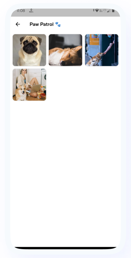 PetHomes - On-Demand Pet Services App - Pet Service providers - Pet Care Service - Flutter Solution Screenshot 20 thumbnail