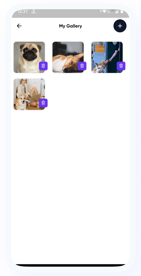 PetHomes - On-Demand Pet Services App - Pet Service providers - Pet Care Service - Flutter Solution Screenshot 67 thumbnail